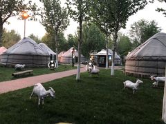 -九十九顶毡房(阜石路店)