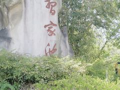 -习家池