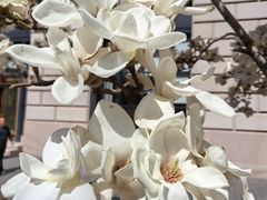 -锦什坊街叁拾伍号大厦