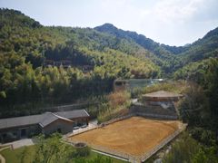 -宁海安岚·南溪阁全日餐厅