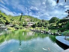 -石排湾郊野公园