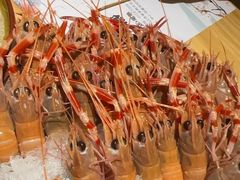 -贵木日本料理·铁板烧(新地假日广场店)