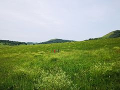 -乌兰布统草原