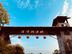 -泗洪洪泽湖湿地景区