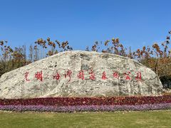 -上海海湾国家森林公园