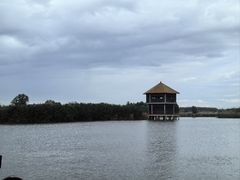 -宁波杭州湾国家湿地公园