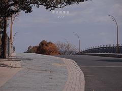 -三垟湿地