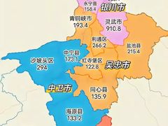 -国强手抓(利通旗舰店)