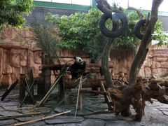 -泉州海丝野生动物世界