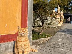 -高旻寺