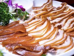 -二荆条·蜀鲜汇城市森林火锅
