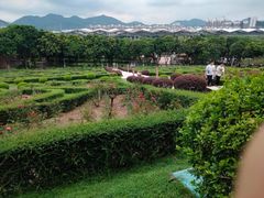 -紫马岭公园