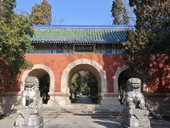 -灵谷景区