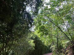 -火炉山森林公园