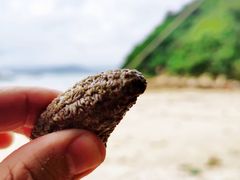 -东山珍珠岛