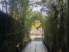 -花锦堂·隐庐