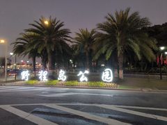 -野狸岛