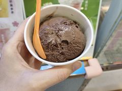 -iceason爱茜茜里·意大利健康冰淇淋(骑龙巷店)