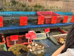 -坛南湾阿强农家乐.海鲜大排档老字号(福州地标美食店)