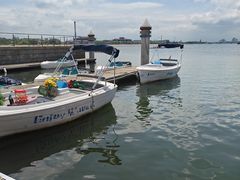 -日照海滨国家森林公园