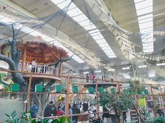 -南宫五洲植物乐园