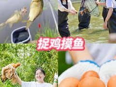 -上海山野camping·户外天幕烧烤·团建拓展营地