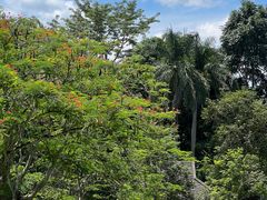 -中国科学院西双版纳热带植物园