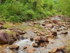 -广州白江湖森林公园