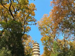 -灵谷景区