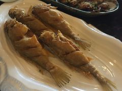 -浩运·海鲜青岛菜·海胆水饺(石老人店)