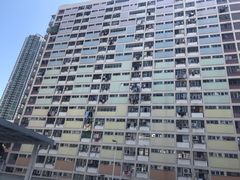 -彩虹村