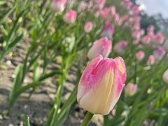 -玄武湖景区-情侣园游乐场