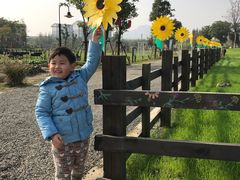 -田园东方蜜桃村的田野营地