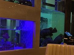 -安蒂娅.悦景轩中餐厅(西乡店)