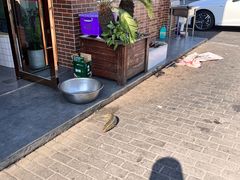 -老四川平头酸菜鱼(衙前店)