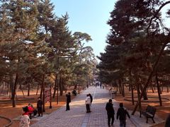 -沈阳市东陵公园
