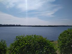 -丁香湖公园