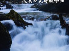 -瓦屋山景区
