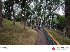 -马王堆汉墓遗址