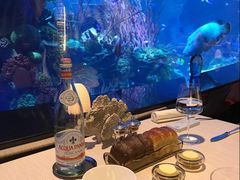 -迪拜帆船酒店海底餐厅