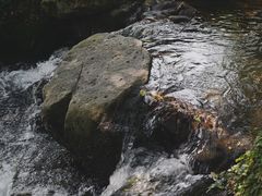 -中国茶叶博物馆(双峰馆区)
