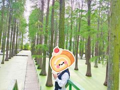 -渌洋湖湿地公园