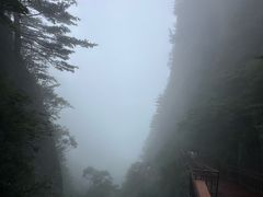 -秦岭天竺山生态文化旅游景区