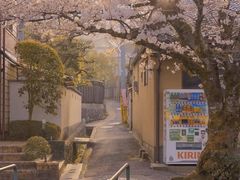 -宁波野生动物园