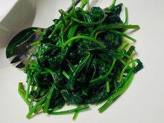 清炒红薯叶-君庭中餐厅(友谊宾馆店)
