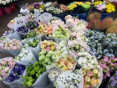 -双季花艺园艺市场(浦东店)