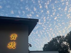 -青桃餐厅