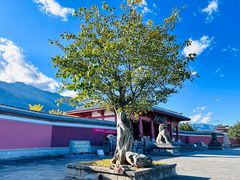 -崇圣寺三塔文化旅游区