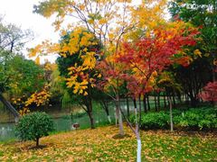 -尚贤河湿地