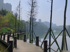 -重庆彩云湖湿地公园